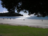 Waiheke Beach on Oneroa: Oneroa