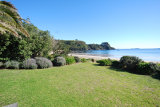 Waiheke The Black Bach: Front lawn