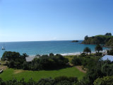 Waiheke The Black Bach: Palm beach Waiheke