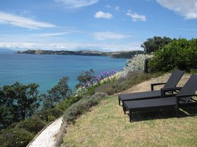 Waiheke Dutton's Barn: Front lawn