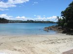 Waiheke The Palms: Sandy Bay