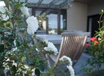 Waiheke Sails: Deck Waiheke Island home