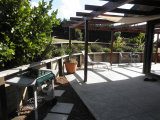 Waiheke Ridge Studio: Courtyard