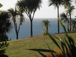 Waiheke Waimarama Cottage: Front lawn