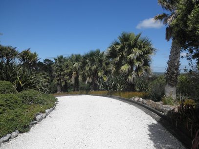 Waiheke Waimarama Cottage: Driveway