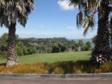 Waiheke Waimarama Cottage: Front lawn