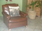 Waiheke Waiheke Safari: Lounge chair with elephant cushions