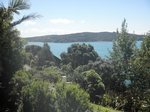 Waiheke Waiheke Safari: View from property