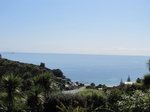 Waiheke Palm Beach Retreat: View from sunroom