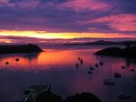 Waiheke Pohutukawa Suite: Sunset 2 (1)
