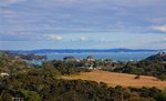 Waiheke Tui Cottage: View from deck