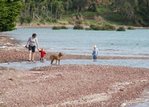 Waiheke Te Matuku Farm Cottage: Te Matuku Bay foreshore