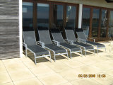 Waiheke The Pah at Onetangi: Sunbathing time