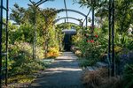 Waiheke Shelly Beach Sanctuary: Garden path