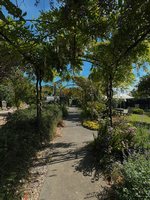 Waiheke Shelly Beach Sanctuary: Entrance