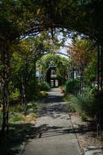 Waiheke Shelly Beach Sanctuary: Arbor