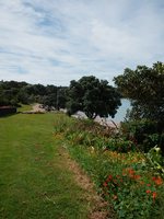 Waiheke Shelly Beach Sanctuary: Beach access