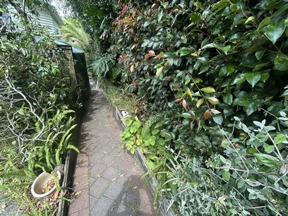 Waiheke Oasis Hideaway: Path to Oasis Hideaway