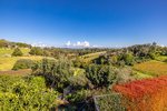 Waiheke Garden and Bird Haven: Overlooking Mawhitipana Estate