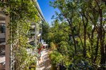 Waiheke Garden and Bird Haven: Haven for birds