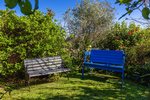 Waiheke Garden and Bird Haven: Tranquility in the garden