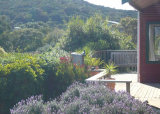 Waiheke Beach Barn: Flowers on deck of Rocky Bay bach