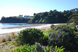 Waiheke The Black Bach: Palm Beach Waiheke