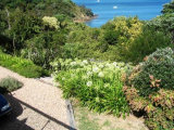 Waiheke Gulf Views: garden from deck