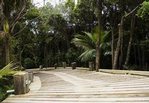Waiheke Tui View: timber driveway corrected
