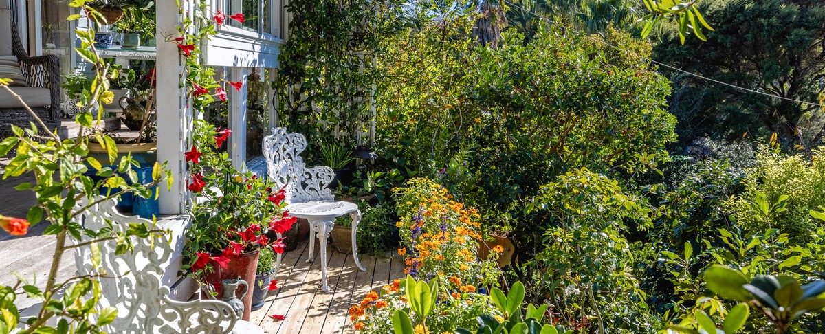 Visit Waiheke - Garden and Bird Haven